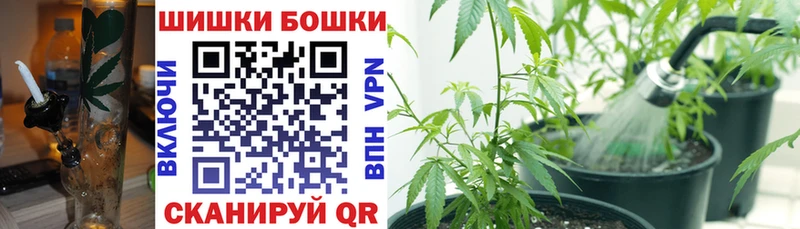 даркнет телеграм  Фролово  Бошки Шишки MAZAR 